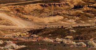 外网球迷也关注中国选帅！新主教练应培养新人，匡琦很有机会